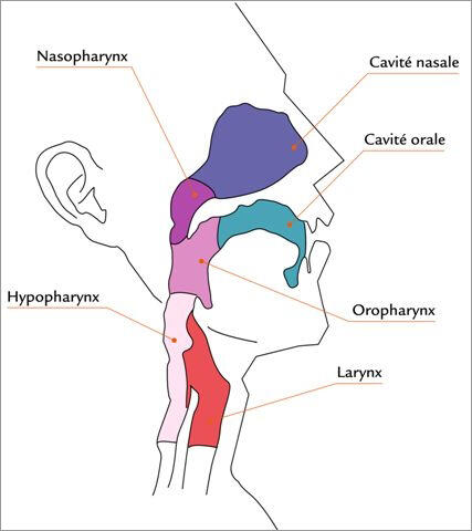 schema_cav_bucc