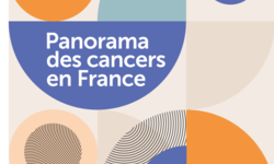 panorama 2023