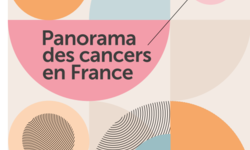 panorama 2022